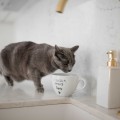 Biały kubek porcelanowy 500 ml - Z sierścią smakuje lepiej na dzień zwierząt dla miłośników psów i kotów Eleganckie opakowanie prezentowe kubka porcelanowego ze złotym zdobieniem nadzwyczajnie.mom — Z sierścią smakuje lepiej