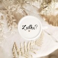 Biały zaparzacz porcelanowy z przykrywką do kubka 300 ml - motyw złotego serca i ziół dla miłośników naparów na urodziny Zbliżenie na złote zdobienie serca na białym produkcie porcelanowym Zaparzacz z przykrywką do kubka 300 ml - Ziółka?